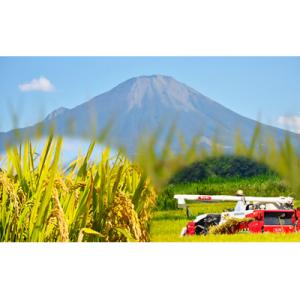 ふるさと納税 米子市 令和7年産 大山しらゆき...の詳細画像1