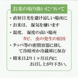 ふるさと納税 米子市 令和7年産 大山しらゆき...の詳細画像2