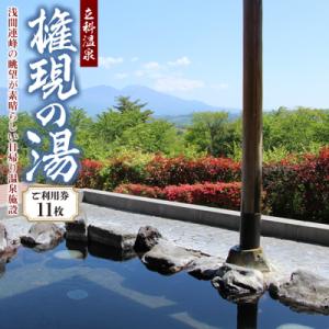 ふるさと納税 立科町 権現の湯　ご利用券11枚　[R2-09-02]