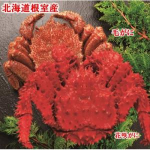 ふるさと納税 根室市 【北海道根室産】毛がにと花咲がに B-01028