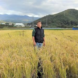 ふるさと納税 上山市 【2025年10月〜発送】令和7年産　自然栽培15年目のササニシキ　玄米　5k...