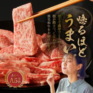 ふるさと納税 天草市 黒毛和牛 焼肉 カルビ ...の詳細画像1
