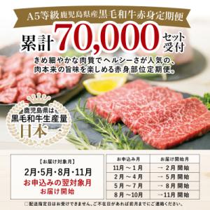 ふるさと納税 南さつま市 【特撰定期便 全4回...の詳細画像1