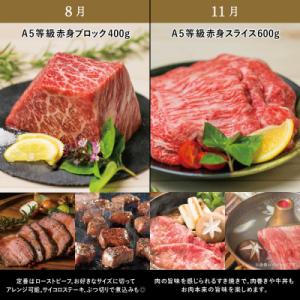 ふるさと納税 南さつま市 【特撰定期便 全4回...の詳細画像3