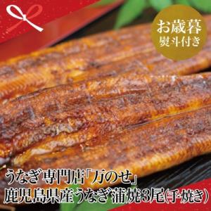 ふるさと納税 南さつま市 【お歳暮ギフト】 鹿児島県産 鰻 うなぎ専門店「万のせ」 うなぎ蒲焼(手焼...