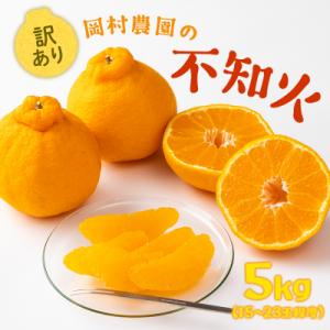 ふるさと納税 室戸市 不知火 訳あり 5kg詰め合わせ (デコポンと同品種) 柑橘系果物 果物 柑橘...