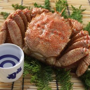 ふるさと納税 釧路市 釧路福司「鶴」本醸造と毛...の詳細画像2
