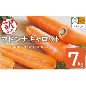 ふるさと納税 碧南市 (TVで紹介)訳あり!こどもも食べられる甘み!「マドンナキャロット」 7kg H105-192