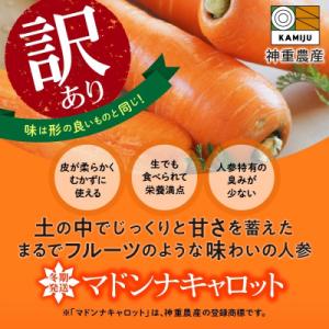 ふるさと納税 碧南市 (TVで紹介)訳あり!こ...の詳細画像1