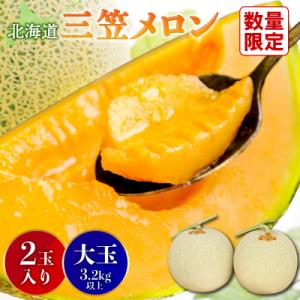ふるさと納税 三笠市 《2026年分受付中》大玉!三笠メロン2玉入(3.2kg以上)【0106202】