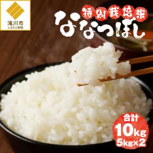 ふるさと納税 滝川市 《令和7年産》特別栽培米ななつぼし 10kg 特A 減農薬 白米 ブランド米 ...