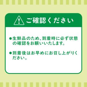 ふるさと納税 宗像市 福岡県ブランド!キウイフ...の詳細画像3