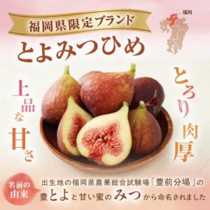 ふるさと納税 宗像市 【寄附額改定!】プレミア...の詳細画像2