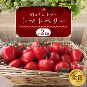 ふるさと納税 碧南市 【事前受付】2kg甘さ抜群...の商品画像