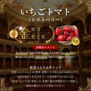 ふるさと納税 碧南市 【事前受付】2kg甘さ抜...の詳細画像1