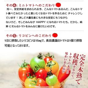 ふるさと納税 碧南市 【事前受付】2kg甘さ抜...の詳細画像2