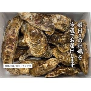 ふるさと納税 陸前高田市 【先行受付】 訳あり...の詳細画像2