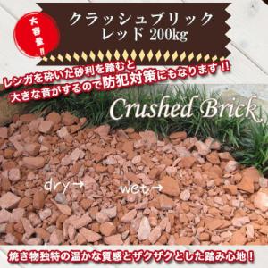 ふるさと納税 碧南市 【大容量】200kg(20...の商品画像
