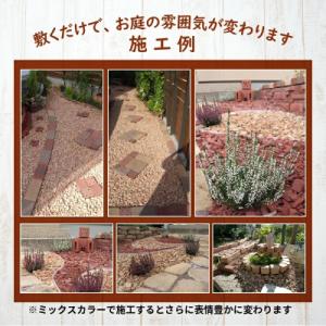 ふるさと納税 碧南市 【大容量】200kg(2...の詳細画像3