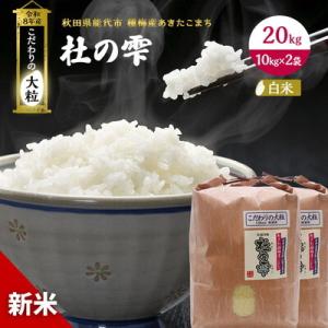ふるさと納税 能代市 先行予約 新米 令和8年 あきたこまち 20kg 白米 大粒 [No.5335-0211]
