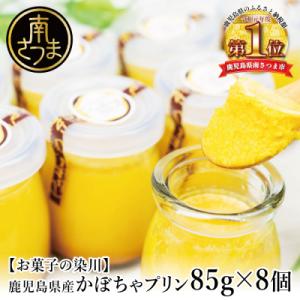 ふるさと納税 南さつま市 鹿児島県産 かぼちゃプリン 85g×8個 お菓子の染川 洋菓子 パンプキン...