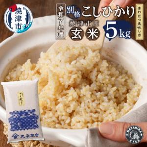 ふるさと納税 焼津市 令和7年産 別格 こしひかり 玄米 5kg(a12-298)