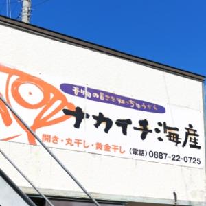 ふるさと納税 室戸市 ふかの鉄干(さめの塩干)の詳細画像3