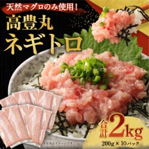 ふるさと納税 室戸市 高豊丸ネギトロ2kg