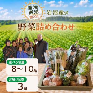 ふるさと納税 岩沼市 【定期便3ヶ月】宮城県 岩沼産 産地直送 朝どれ 新鮮野菜 8〜10種類 詰め...