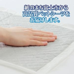 ふるさと納税 富士市 ネオシーツ+カーボンDX...の詳細画像2