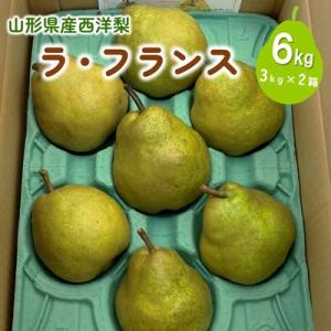 ふるさと納税 上山市 西洋梨(ラ・フランス)6kg　大玉　ご家庭用　0009-2613