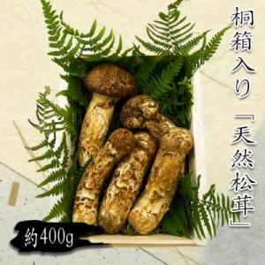 ふるさと納税 長井市 【2026年発送】山形県産「天然松茸(まつたけ)」約400g(桐箱入)_H08...
