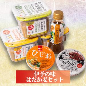 ふるさと納税 松前町 伊予の味　はだか麦セット　ギノーみそ【GNM004】