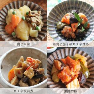 ふるさと納税 春日井市 お惣菜おかわりの無添加...の詳細画像1