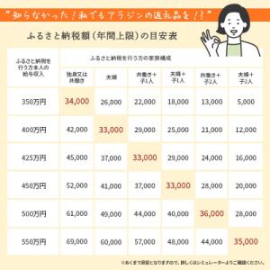 ふるさと納税 加西市 アラジン 2枚 グリーン...の詳細画像1