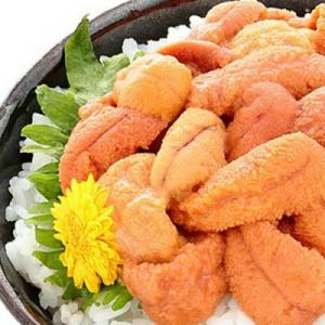 ふるさと納税 根室市 エゾバフンウニ塩水パック...の詳細画像1