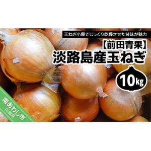 ふるさと納税 南あわじ市 淡路島産玉ねぎ10kg　◆配送7月中旬〜