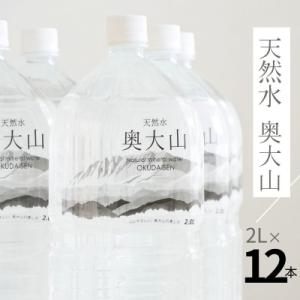 ふるさと納税 杵築市 伊藤園 ナチュラルミネラルウォーター 400ml×24本