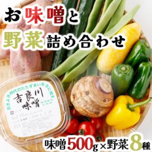 ふるさと納税 室戸市 お味噌と8品野菜セットの商品画像