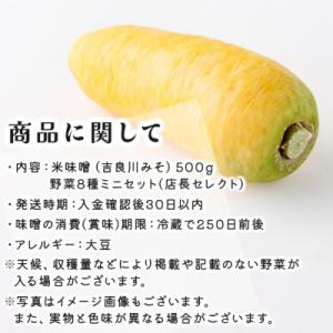 ふるさと納税 室戸市 お味噌と8品野菜セットの詳細画像2