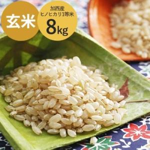 ふるさと納税 加西市 令和7年産 加西産 ヒノヒカリ 2等米 玄米 8kg[No5698-0375]