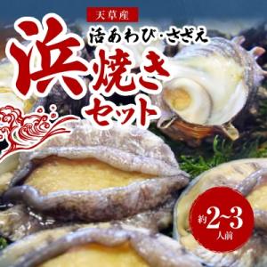 ふるさと納税 天草市 【指定日必須】天草産 活あわび・さざえ 浜焼きセット 約2〜3人前_S002-...