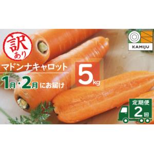 ふるさと納税 碧南市 訳あり 2回定期便 にんじん 1月2月お届け マドンナキャロット 5kg H1...
