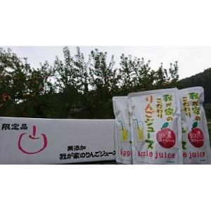 ふるさと納税 湯沢市 三関産ふじ100%リンゴジュース[B1-10401]