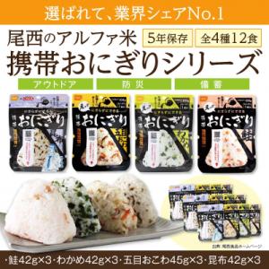 ふるさと納税 大崎市 【5年保存】 尾西の携帯おにぎり12個セット アルファ米 防災 備蓄 保存食 非常食 ライス ごはん