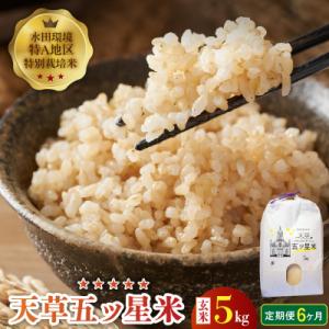 ふるさと納税 天草市 【6ヶ月定期便】【先行受付】天草五ッ星米 玄米 5kg_S061-T08A