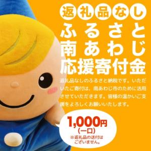 ふるさと納税 南あわじ市 【返礼品なし】ふるさと...の商品画像
