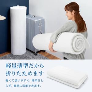 ふるさと納税 幸田町 【3営業日以内に発送】エ...の詳細画像2
