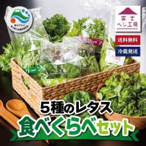 ふるさと納税 富士市 富士山の伏流水で栽培期間中、農薬を使わず育てた新鮮レタス5種類×2株セット(1...