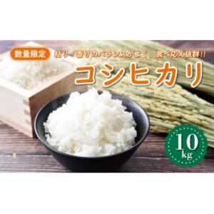 ふるさと納税 愛南町 【先行予約】新米 令和8年産 コシヒカリ 10kg 愛南町 マルハラファーム